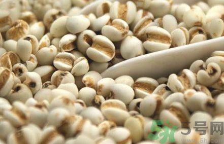 薏米是大粒的好还是小粒的好?