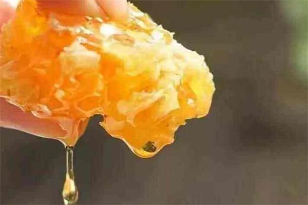 吃蜂巢蜜会过敏吗 吃蜂巢蜜过敏怎么办 吃蜂巢蜜会过敏吗 吃蜂巢蜜过敏怎么办