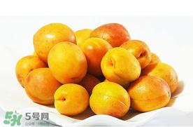 杏和荔枝能一起吃吗?杏和荔枝一起吃会中毒吗? 杏和荔枝能一起吃吗?杏和荔枝一起吃会中毒吗?