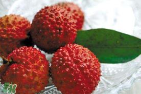 杏和荔枝能一起吃吗?杏和荔枝一起吃会中毒吗? 杏和荔枝能一起吃吗?杏和荔枝一起吃会中毒吗?