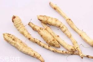 地笋价格一斤多少钱 地笋什么时候采摘 地笋价格一斤多少钱 地笋什么时候采摘