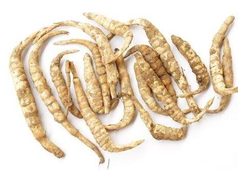 地笋价格一斤多少钱 地笋什么时候采摘 地笋价格一斤多少钱 地笋什么时候采摘