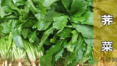 ​来月经能吃荠菜吗？月经期间可以吃荠菜吗？