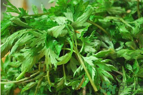 艾叶可以泡水喝吗?艾叶泡水喝的功效