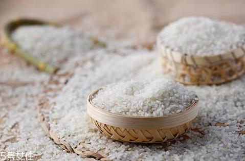 珍珠米怎么煮好吃 吃起来软硬适中