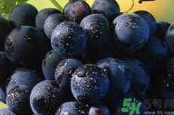 葡萄变软还能吃吗?葡萄变软怎么引起的?