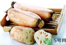 莲藕可以和鳝鱼一起吃吗？莲藕和鳝鱼一起吃好吗？