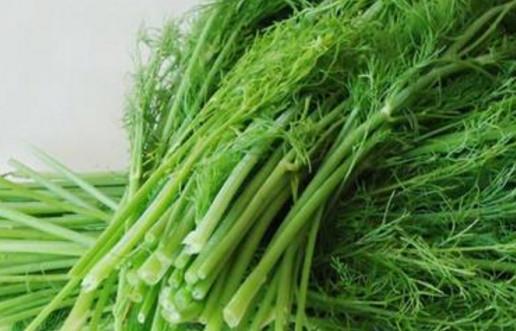 茴香苗怎么吃？茴香苗的吃法