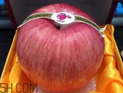 世界一号苹果多少钱?世界一号苹果好吃吗