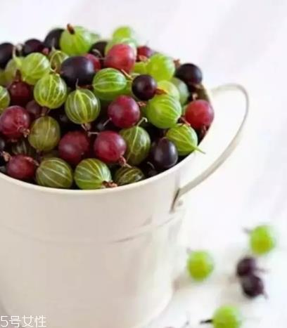 醋栗什么味道好吃吗?酸甜可口惹人爱 醋栗什么味道好吃吗?酸甜可口惹人爱