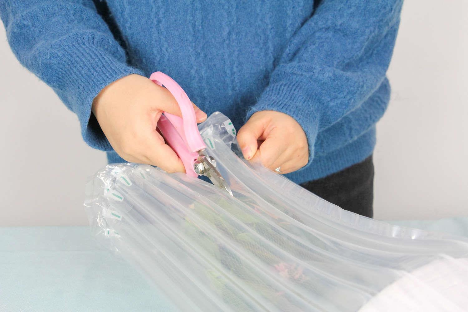 金边瑞香 金边瑞香