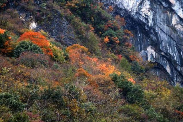 四川平武虎牙深秋徒步路线推荐