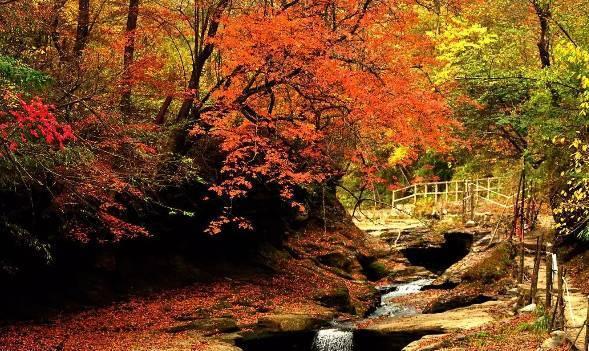 四川平武虎牙深秋徒步路线推荐