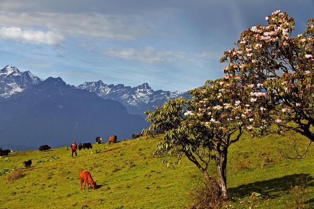 四川平武虎牙深秋徒步路线推荐