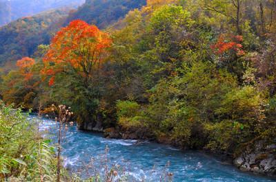 四川平武虎牙深秋徒步路线推荐