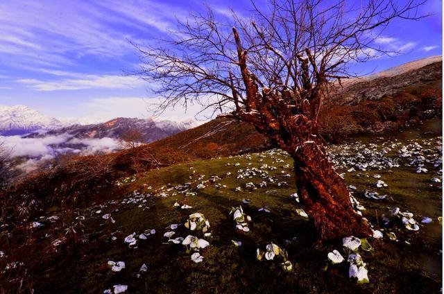四川平武虎牙深秋徒步路线推荐