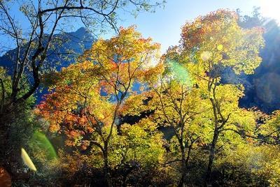 四川平武虎牙深秋徒步路线推荐