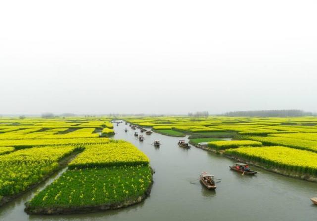 “日长篱落无人过,惟有蜻蜓蛱蝶飞”,你可知蜻蜓飞行本领有多强