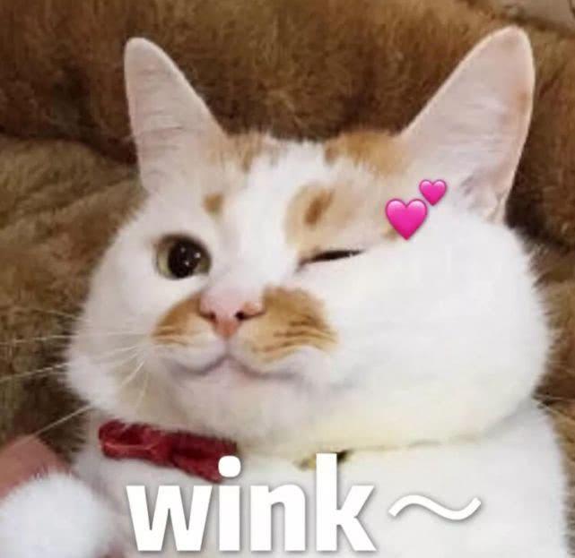 人美声甜合法萝莉:小仓唯