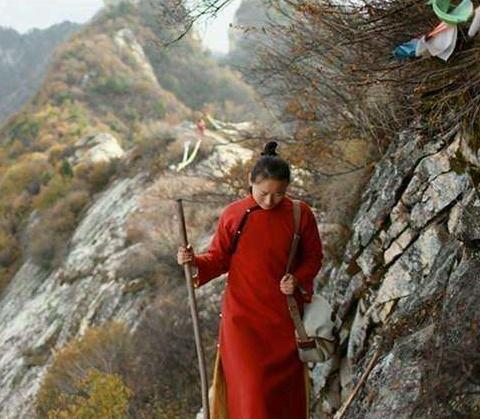 终南山的道士越来越多,他们是真的决定隐居在此吗答案让人无语