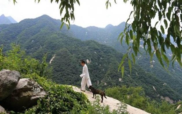 终南山的道士越来越多,他们是真的决定隐居在此吗答案让人无语