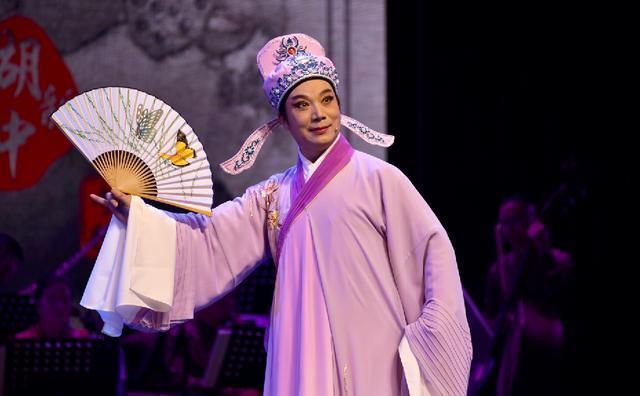 花鼓戏名家胡新中演唱会精彩花絮