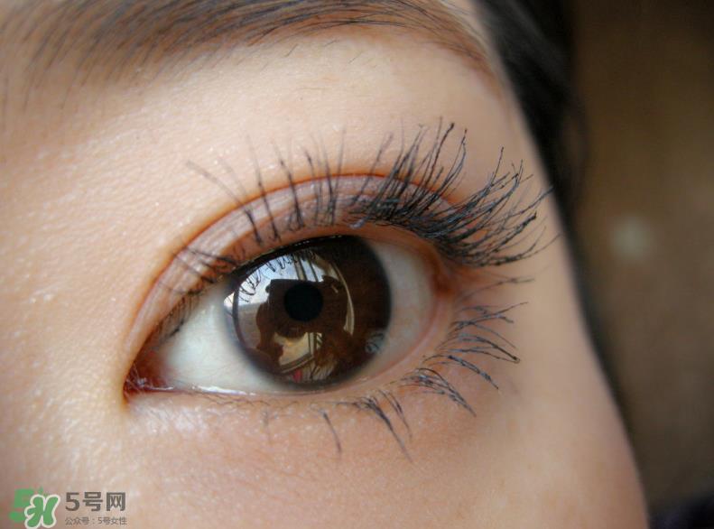 KATE睫毛打底膏怎么用?KATE睫毛打底膏好用吗? KATE睫毛打底膏怎么用?KATE睫毛打底膏好用吗?