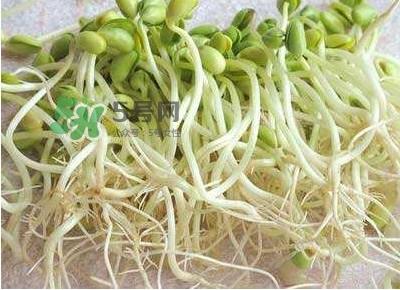 豆芽是发物吗?豆芽能见阳光吗 豆芽是发物吗?豆芽能见阳光吗