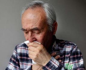 清明菜能治哮喘吗？清明菜可以治哮喘吗？