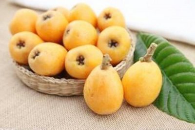 ​枇杷对咳嗽有用吗 枇杷对慢性咽炎有效吗