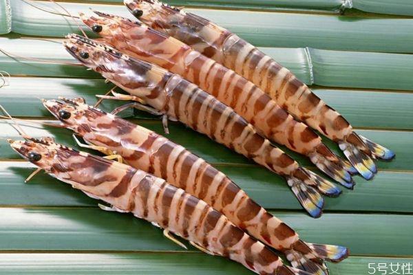 食用竹节虾有哪些注意事项 吃死竹节虾有什么害处吗 食用竹节虾有哪些注意事项 吃死竹节虾有什么害处吗