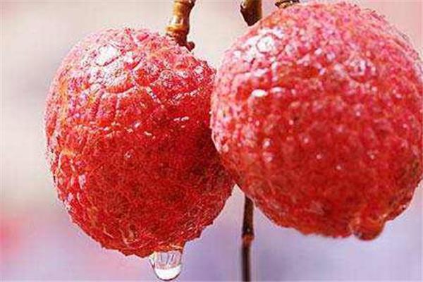 孕妇可以吃荔枝吗 孕妇吃荔枝对胎儿有什么影响