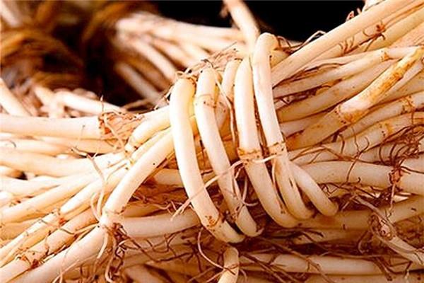 鱼腥草有毒吗 鱼腥草有什么副作用