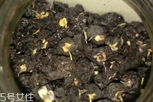 黑枸杞还还是红枸杞好？各有千秋