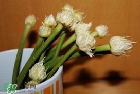 蒜薹可以放冰箱吗？蒜薹可以冷冻吗