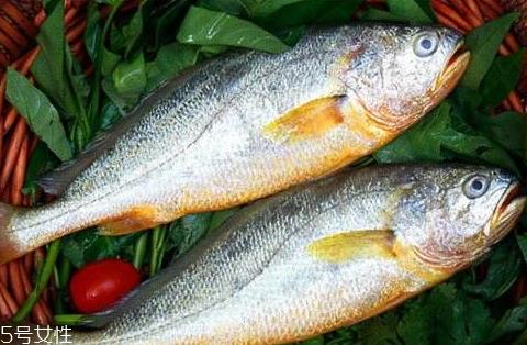 小黄鱼什么季节吃最好 六月吃最佳