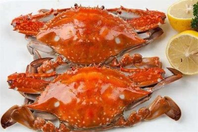 ​梭子蟹热量高吗 晚上吃梭子蟹会胖吗