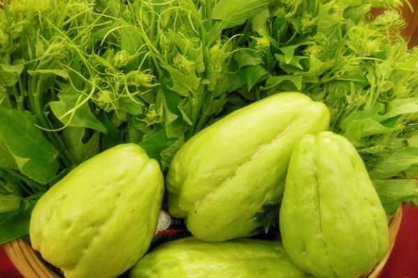 佛手瓜不适合什么人吃 佛手瓜和什么搭配好