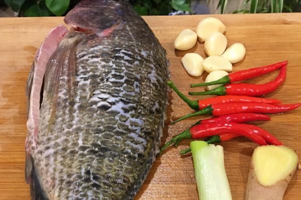 烤鱼要腌吗 必不可少的一步 烤鱼要腌吗 必不可少的一步