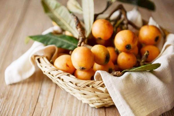 枇杷成熟季节是几月份 枇杷是上火还是降火