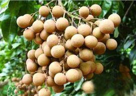 桂圆皮长霉了能吃吗？桂圆皮发霉了里面可以吃吗？