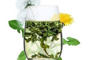 蒲公英茶哪个牌子好？大牌子值得信赖