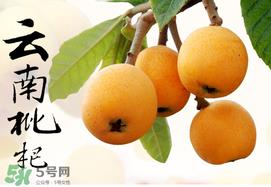 枇杷能放冰箱吗？枇杷可以放冰箱保存吗？