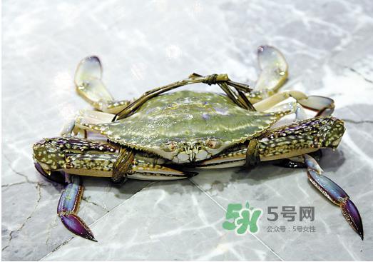 梭子蟹可以和酸奶一起吃吗？吃完梭子蟹能喝酸奶吗？