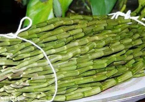 新鲜石斛怎么保存 通风保存