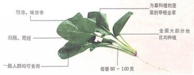 菠菜的功效作用之滋阴润燥还能预防贫血