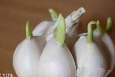 ​大蒜会坏吗 发霉的大蒜不能食用