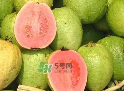 红芭乐吃多了会怎么样?吃白芭乐好还是红芭乐好