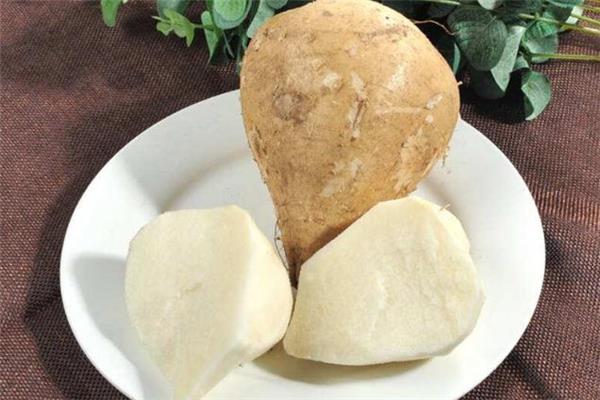 凉薯热量是多少 凉薯和苹果谁热量高 凉薯热量是多少 凉薯和苹果谁热量高