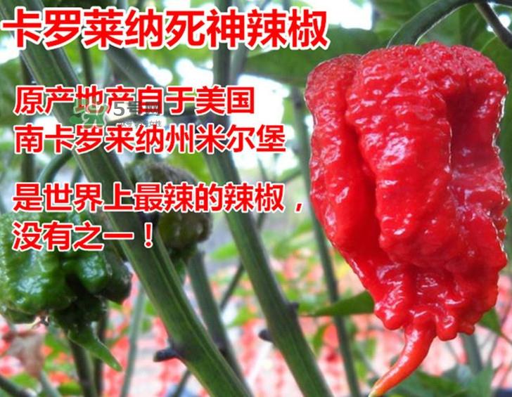 死神辣条哪儿有卖?哪里可以买到死神辣条 死神辣条哪儿有卖?哪里可以买到死神辣条